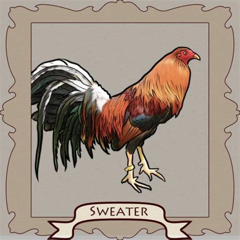 winningest gamefowl bloodline|The Fighting Sweater: The Toughest Gamefowl Brawler that made Cha.